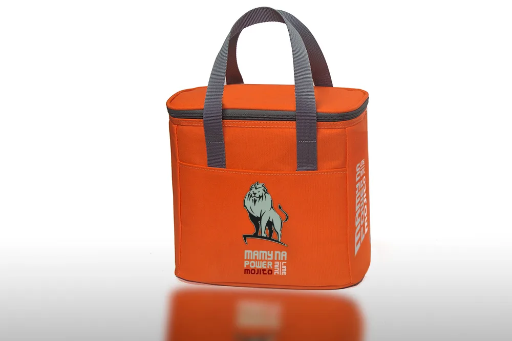 Bolsa Termo 7007